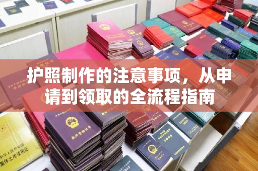 松山护照制作的注意事项，从申请到领取的全流程指南